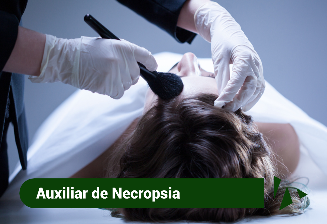 skins2024_saude_necropsia2